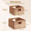 Lifewit Handwoven PP Wicker Storage Basket, Waterproof Imitation Rattan Basket with Built-in Handles, Rectangle Baskets for Organizing Shelves, Pantry, Burlywood, 2-Pack (Large+Medium)(Burlywood)