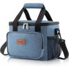 Lifewit Medium Lunch Bag Insulated Lunch Box Soft Cooler Cooling Tote for Adult Men Women, Dark Gray 12-Can (9L)(Light Blue)