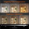 Lifewit Arched Geometric Led Display Shelf with Adjustable Color Temperature and Brightness Control, Etagere Bookshelf with Metal Frame and Glass Shelf for Living Room, Bedroom, Curio Cabinet, Gold(Gold)
