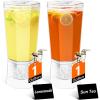 Lifewit 1.6 Gallon Drink Dispenser for Parties, 6L Plastic Beverage Container with Stand for Juice/Tea/Soda & Lemonade, BPA Free Clear Water Pitcher with Spigot for Mimosa Bar, Party Hosting(2)