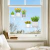Lifewit Extra Wide & Strong Window Plant Floating Shelves 2 Pack, Heavy Duty Acrylic Suction Cup Shelf, Window Sill Extender for Indoor Succulent Plants, Micro Greens, Seed Starter Pots, Herb Planters(3)