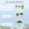 Lifewit Extra Wide & Strong Window Plant Floating Shelves 2 Pack, Heavy Duty Acrylic Suction Cup Shelf, Window Sill Extender for Indoor Succulent Plants, Micro Greens, Seed Starter Pots, Herb Planters(4)