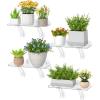 Lifewit Extra Wide & Strong Window Plant Floating Shelves 2 Pack, Heavy Duty Acrylic Suction Cup Shelf, Window Sill Extender for Indoor Succulent Plants, Micro Greens, Seed Starter Pots, Herb Planters(4)