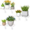 Lifewit Extra Wide & Strong Window Plant Floating Shelves 2 Pack, Heavy Duty Acrylic Suction Cup Shelf, Window Sill Extender for Indoor Succulent Plants, Micro Greens, Seed Starter Pots, Herb Planters(3)