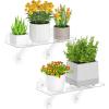 Lifewit Extra Wide & Strong Window Plant Floating Shelves 2 Pack, Heavy Duty Acrylic Suction Cup Shelf, Window Sill Extender for Indoor Succulent Plants, Micro Greens, Seed Starter Pots, Herb Planters(2)