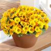 Lifewit Artificial Flowers Daisy for Outdoor Indoor, 6 Bundles Plastic Fake Flowers Mums for Home Garden Decor, Porch, Window Box, Faux Realistic Plants with UV Resistant(Mix for Yellow Orange Red)(Yellow)