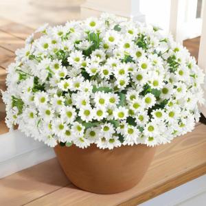 Lifewit Artificial Flowers Daisy for Outdoor Indoor, 6 Bundles Plastic Fake Flowers Mums for Home Garden Decor, Porch, Window Box, Faux Realistic Plants with UV Resistant(Mix for Yellow Orange Red)(White)