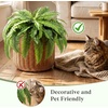 Lifewit Artificial Fern Bush, Faux Fern Plant with 96 Large Fern Fronds(43″- 55 Fronds)