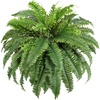 Lifewit Artificial Fern Bush, Faux Fern Plant with 96 Large Fern Fronds(43″- 55 Fronds)