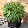 Lifewit Artificial Fern Bush, Faux Fern Plant with 96 Large Fern Fronds(51″- 96 Fronds)