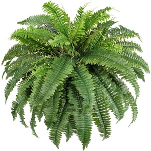 Lifewit Artificial Fern Bush, Faux Fern Plant with 96 Large Fern Fronds(43″- 55 Fronds)